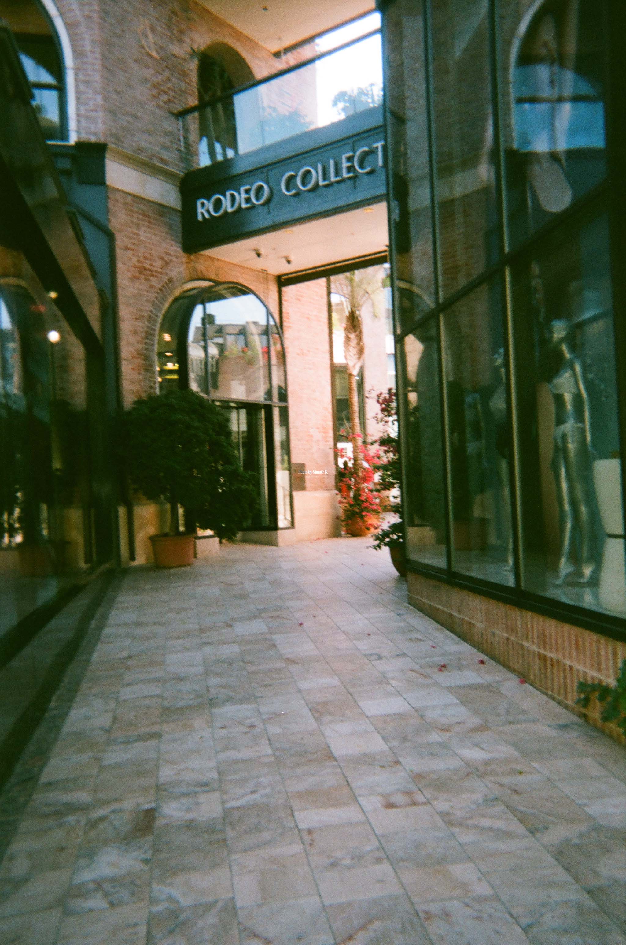 A picture of stores on Rodeo Drive.